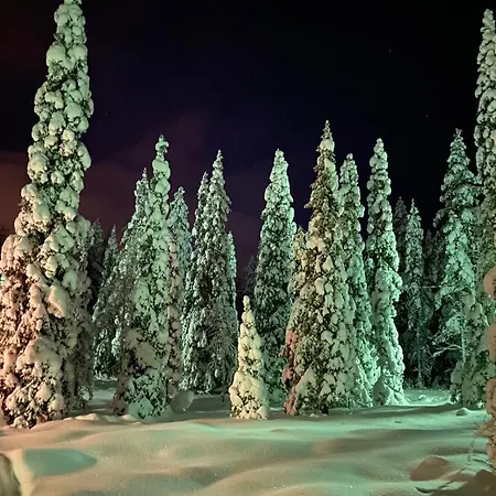 Loghouse Rukanseutu In Ruka Дом отдыха